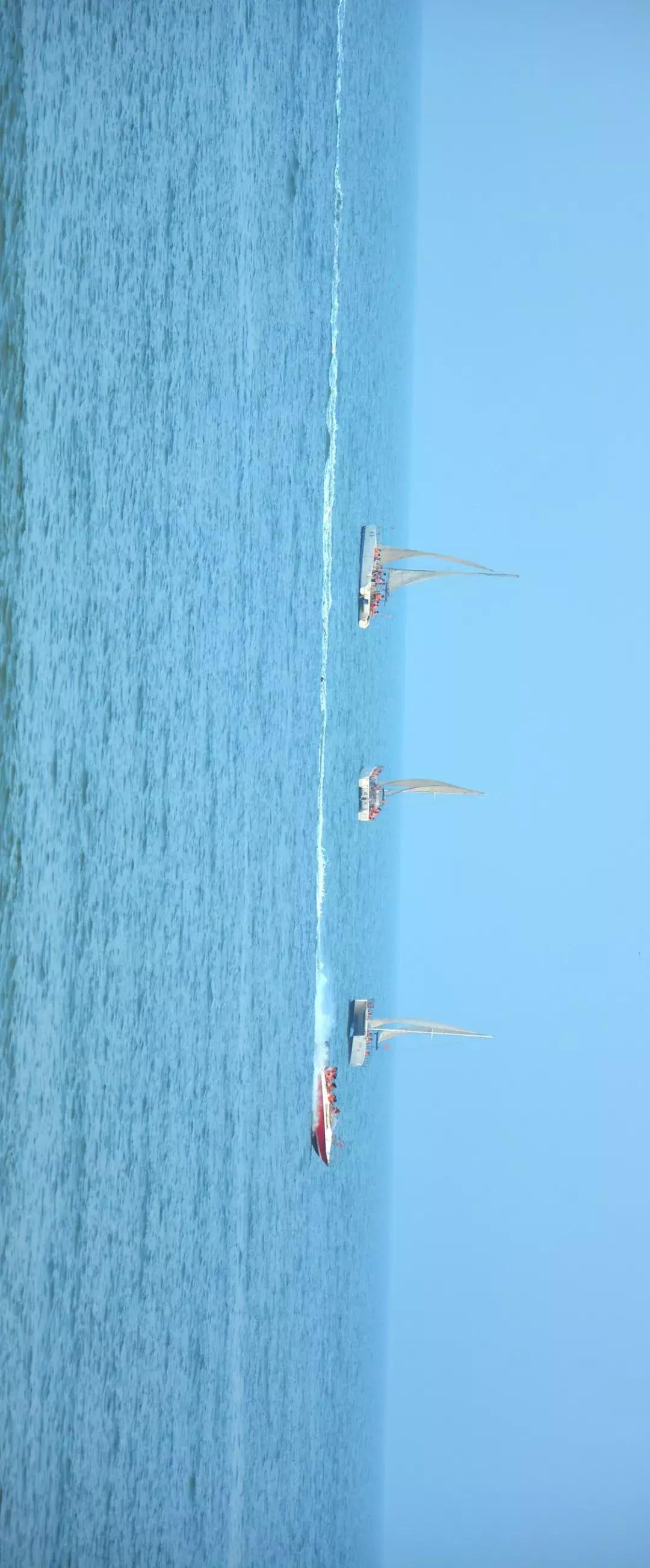 藏在日照的海边，竟然有一处世外桃源，赶海，捕鱼，温馨民宿……