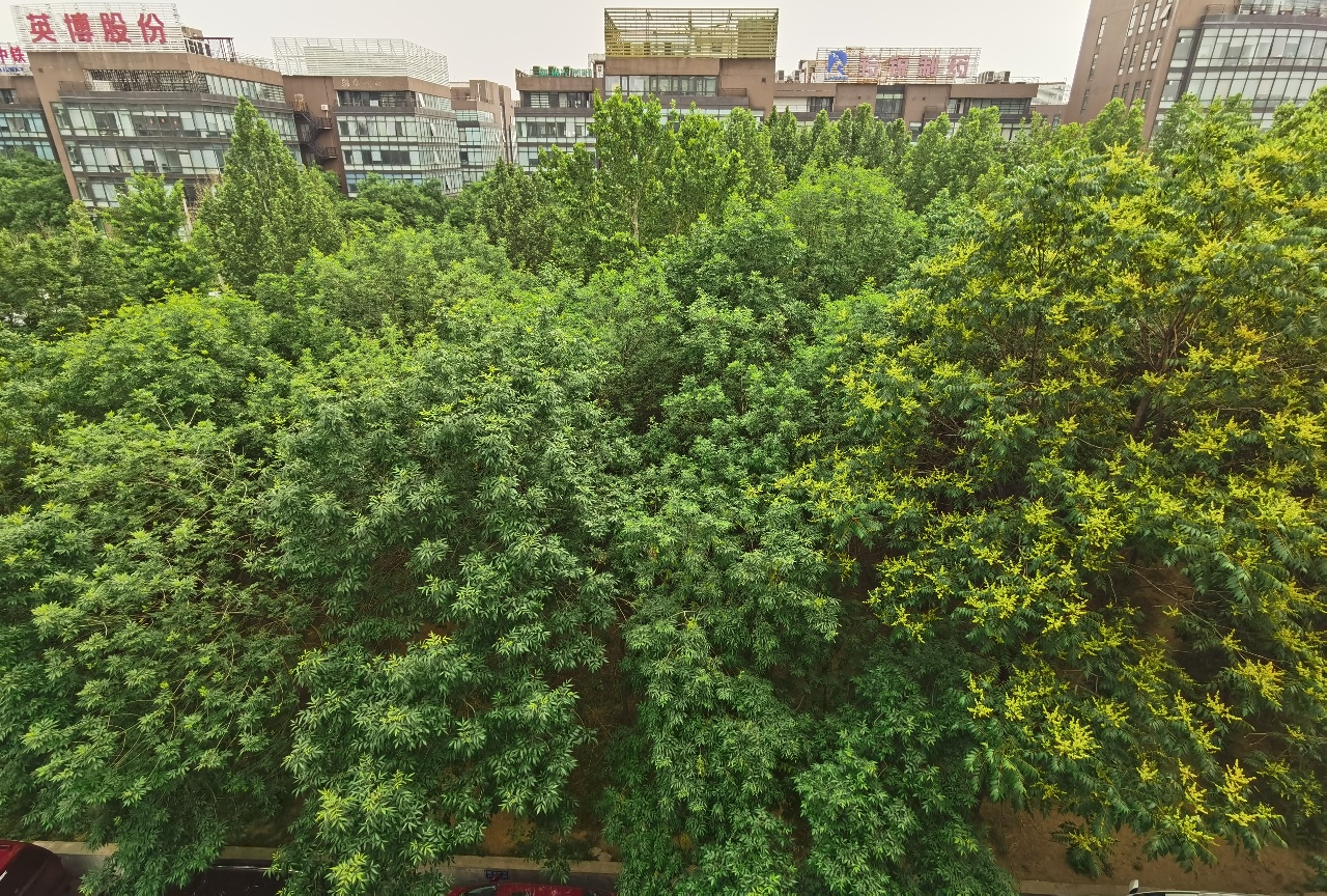 丰台总部基地独栋办公楼,北京丰台区总部基地独栋售价