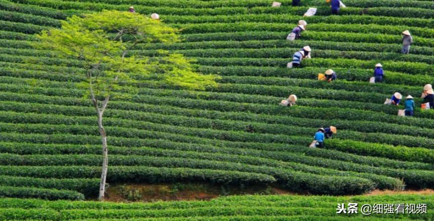 越南最美丽的地方 (越南风景最美的地方是)