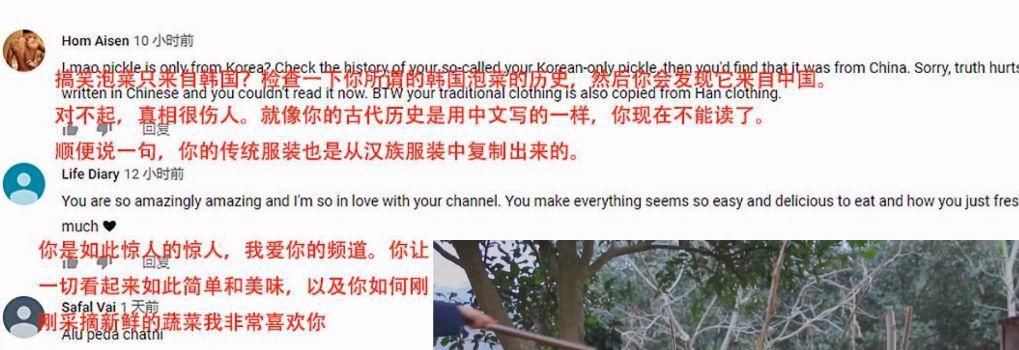 她凭“中华之美”圈粉海外，却被国内网民骂成筛子