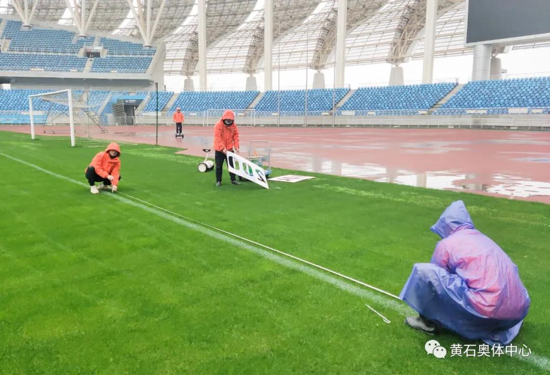 毛铺紫荞酒2019,毛铺紫荞酒1.68l