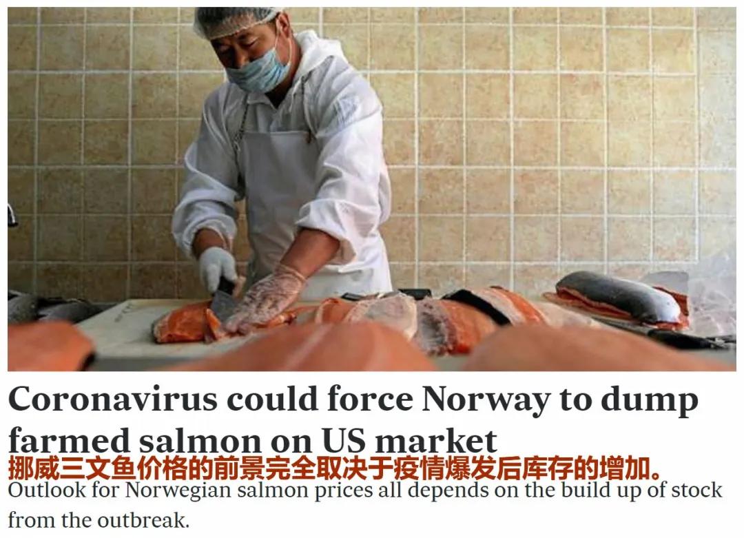 龙虾没人吃,龙虾不吃东西