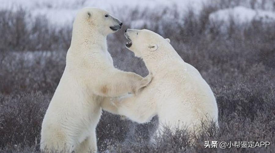 被人打了我们该怎么办,我爸被人打了我该怎么办