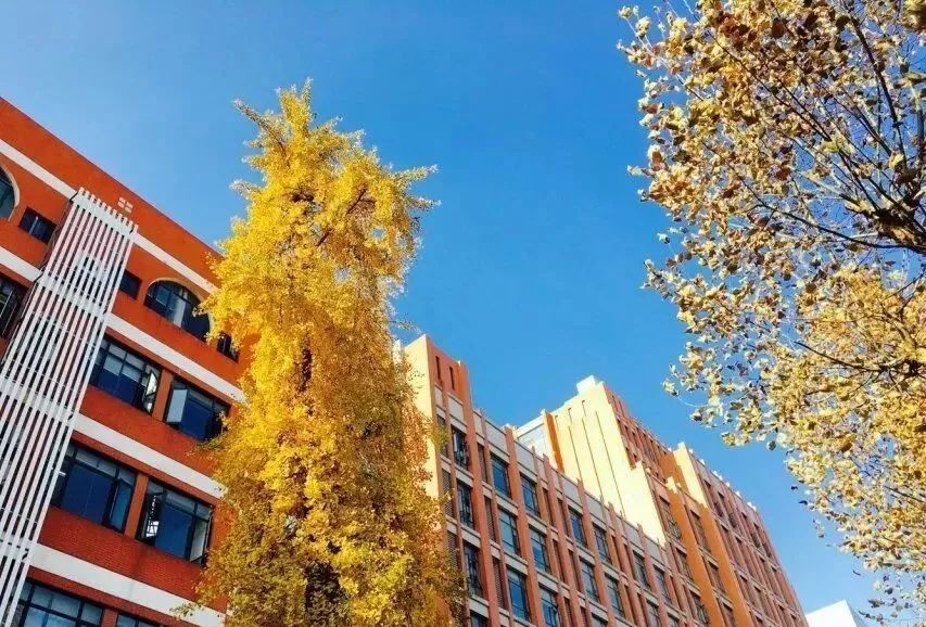 武汉32所重点小学大pk,武汉市十大美丽中学