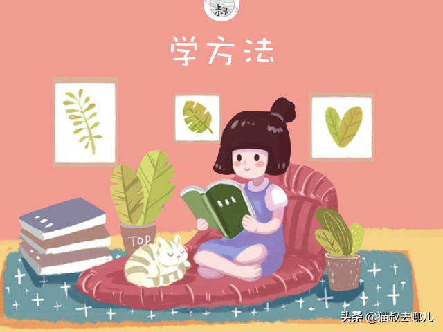 猫鼻支炎怎么治,猫鼻支气管炎能自愈吗