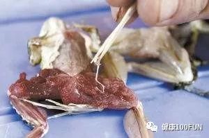 夏天吃海鲜好不好,夏天吃海鲜会怎样