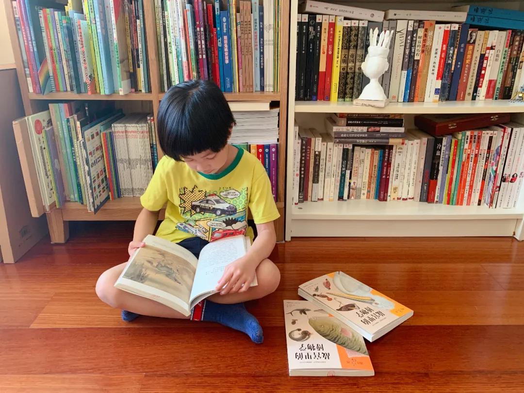 世界那么大我想去看看读书笔记,世界那么大我想去看看古诗