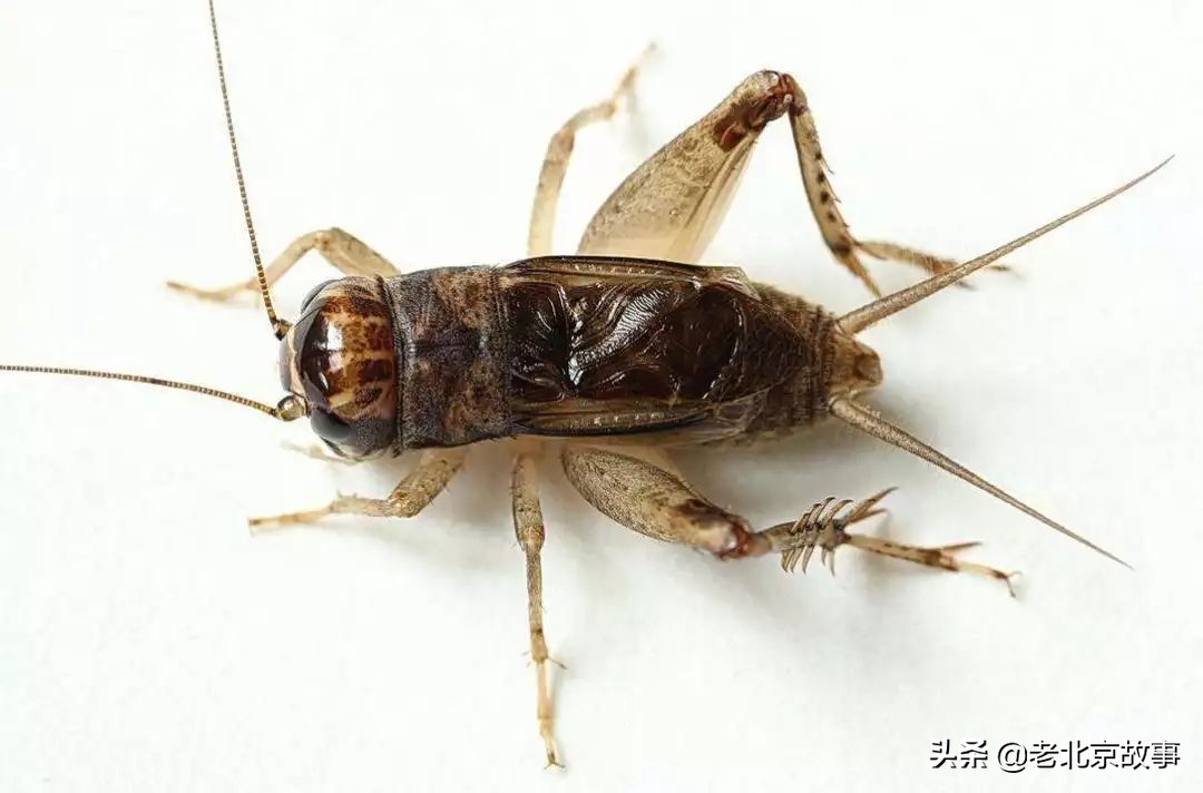 身份证上是1970-1989年的注意了,再忙也要看一下!