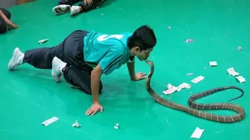 泰国普吉岛自由行签证攻略,泰国免签证费旅游攻略