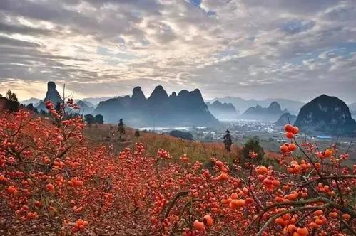 大美桂林欢迎大家,桂林本地人游桂林景区免费