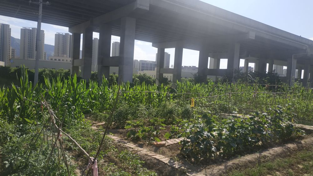 西安教育联合体名单,西安庆华中学和23中