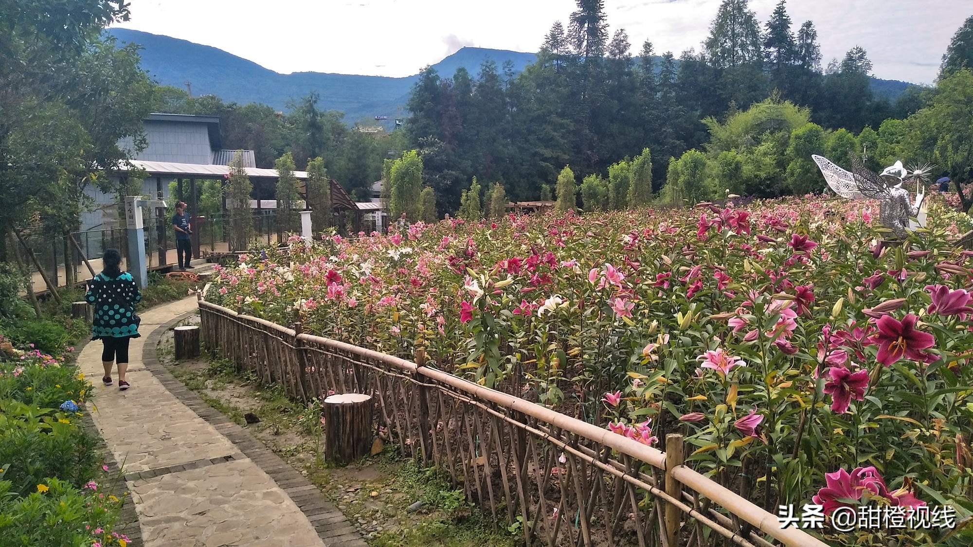 洪雅七里坪温泉小镇,洪雅县七里坪度假区管委会