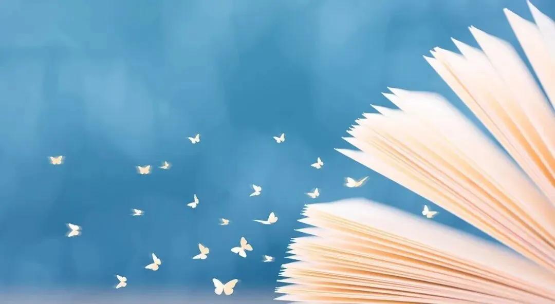 小学名校教学模式,小学名校教育教学方案