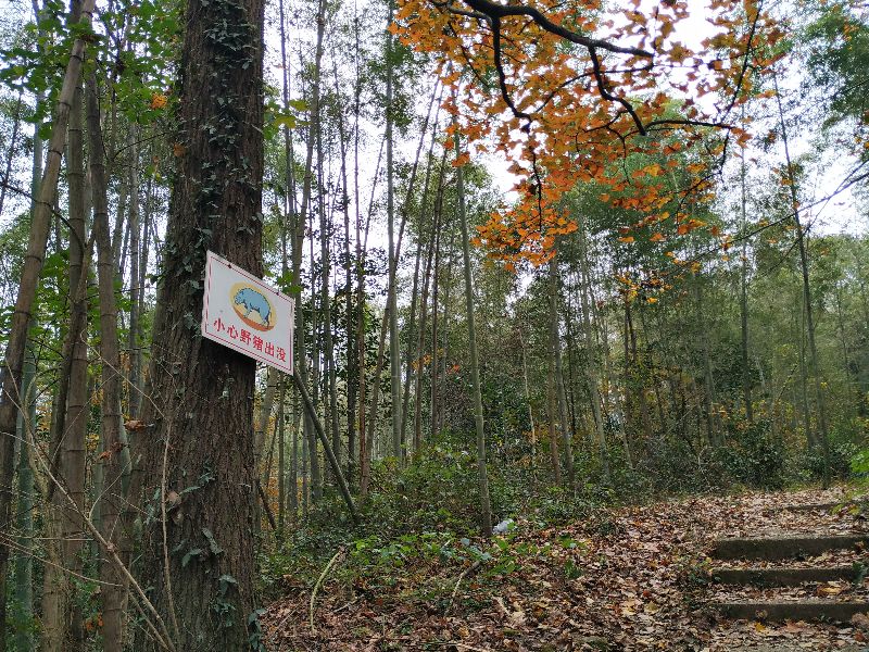 杭州市周末自驾游去哪里好玩,杭州出发周末旅游攻略