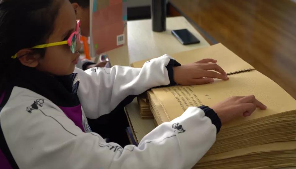 藏羚羊尸体处理结果,藏羚羊的尸骨