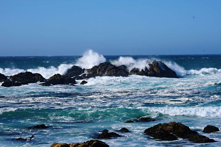 美国德州西部自由行,美国西海岸可以自由航行么