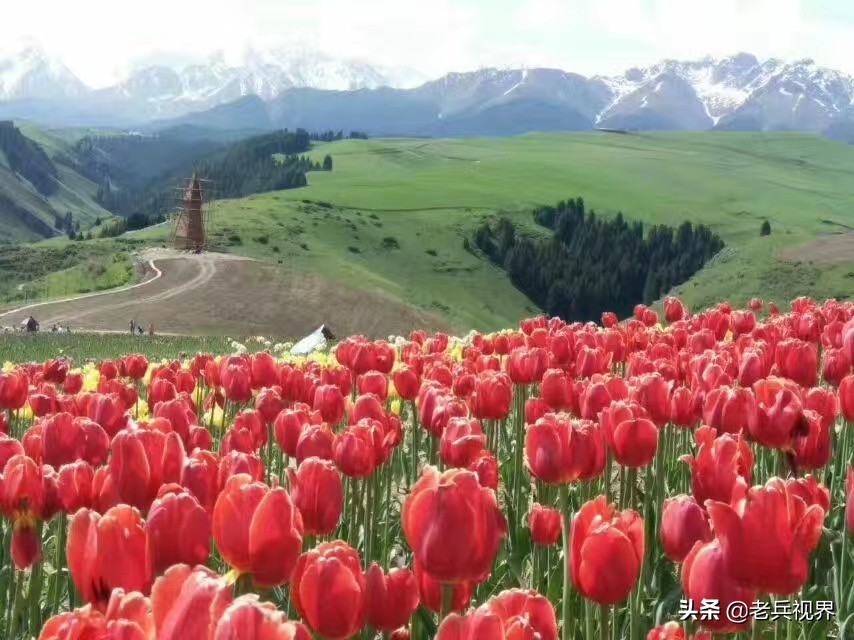 江布拉克大草原哈萨克,江布拉克大草原