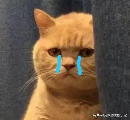 那些年陪我长大的动画片追忆童年,那些陪伴我们一起长大的动画片