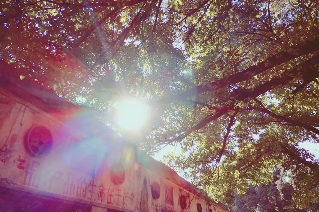 广州拍照好看的地方情侣,广州适合女孩子拍照的地方