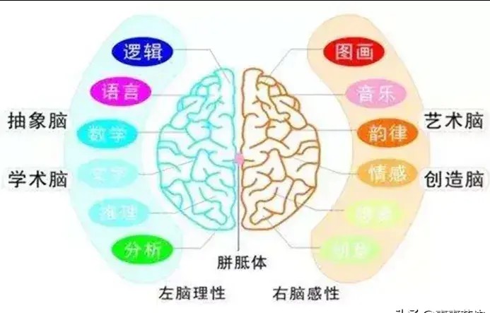 孩子左撇子要不要纠正？不当方式会带来伤害，左撇子的优势明显
