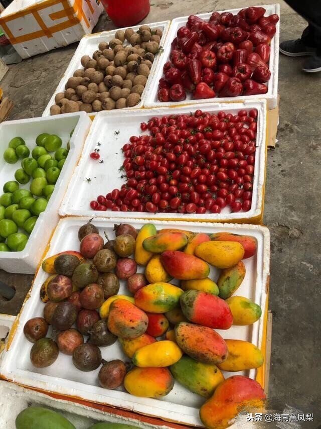 海南冬天最适合生活的地方,海南的冬天海滩