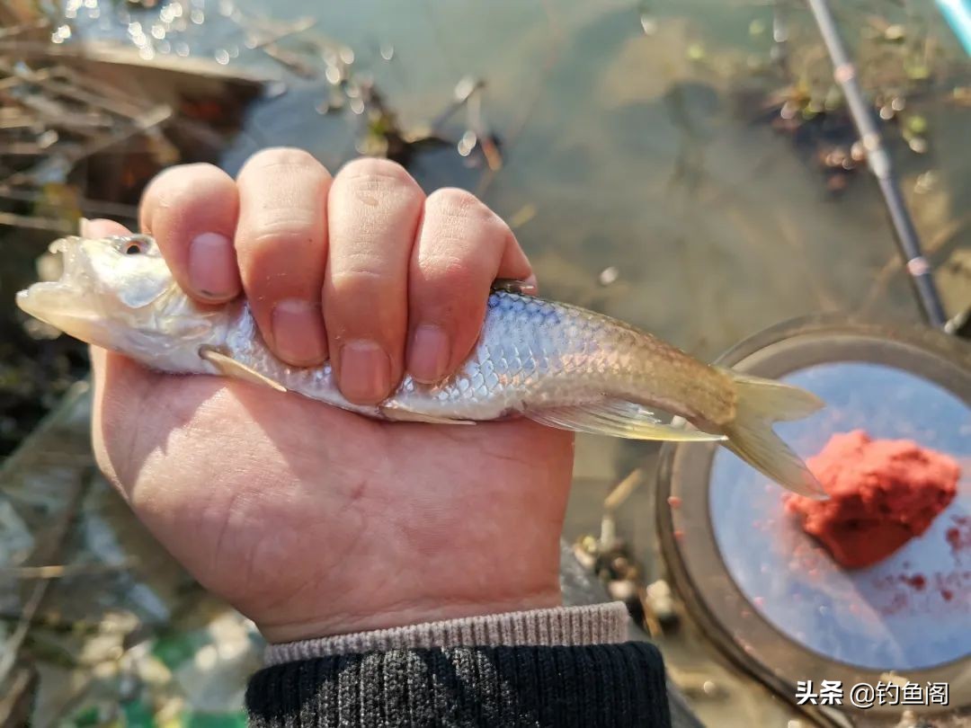 二三十米的水库怎么钓鱼,水库高水位怎么钓鱼最好