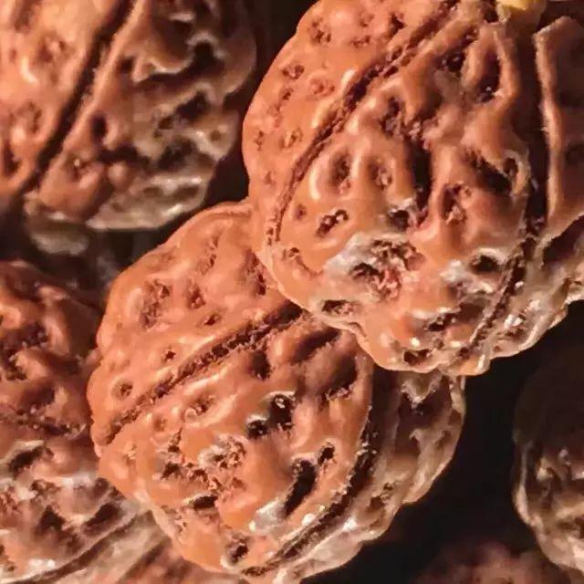 金刚菩提怎么玩才是真的,金刚菩提应该怎么玩