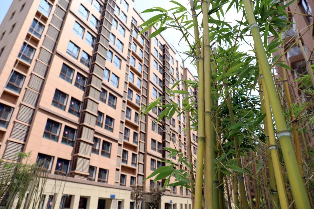 听足球报告有感,听报告谈感想