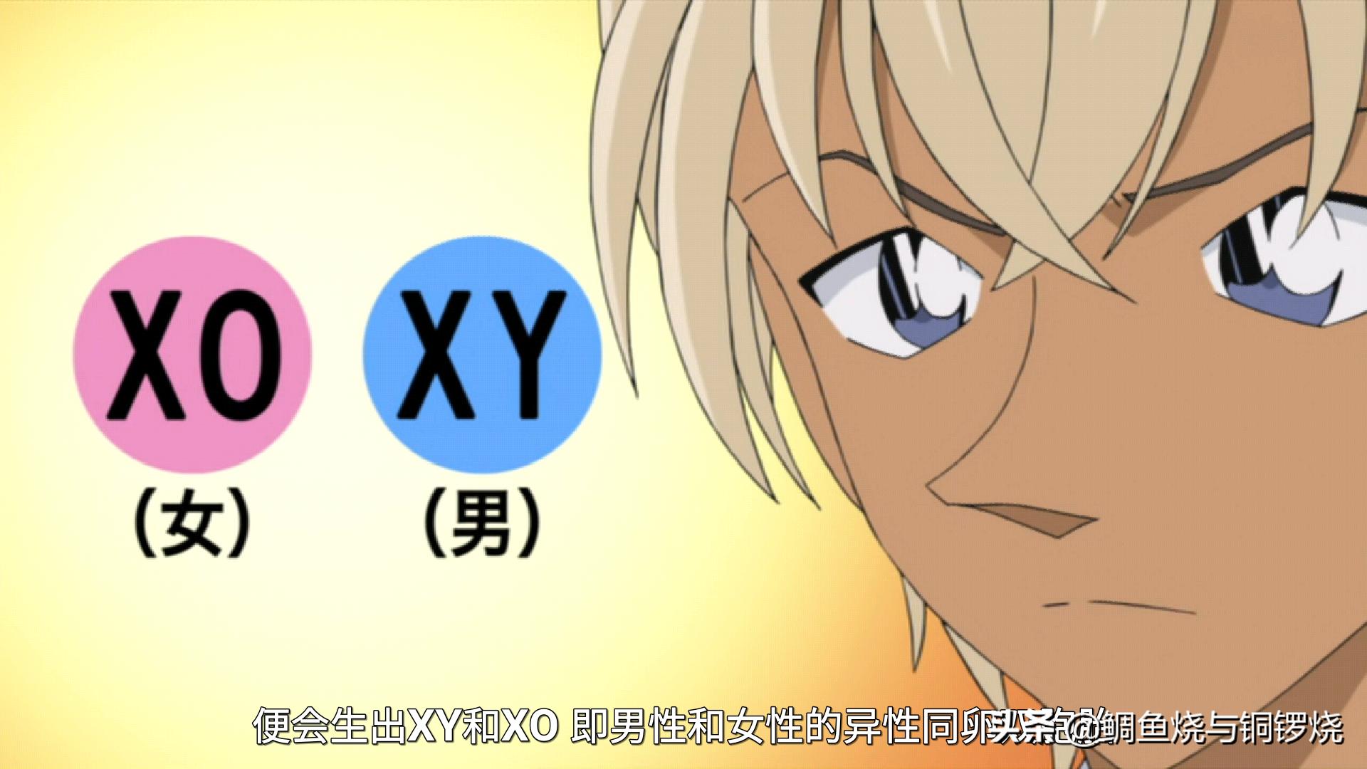 名侦探柯南安室透身份,名侦探柯南安室透个人资料