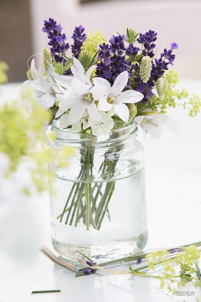 衣草精油真假辨别方法视频,薰衣草真假辨别图解大全