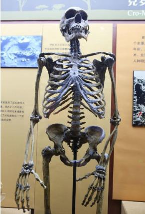 12万年前的人类脚印,200万年前就有人类足迹