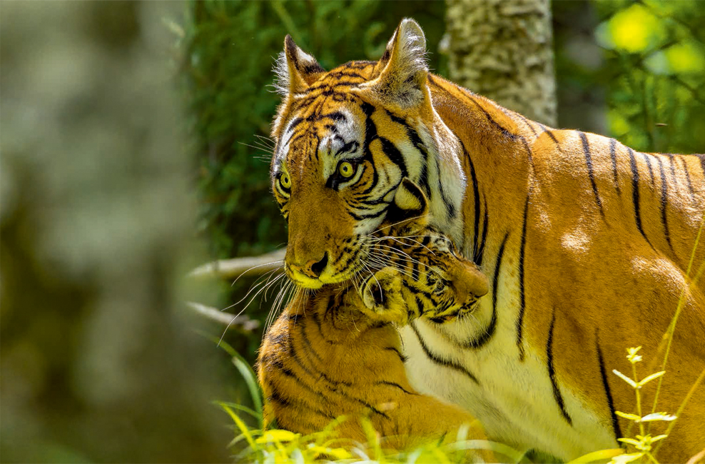 程斌摄影师,程斌摄影师作品