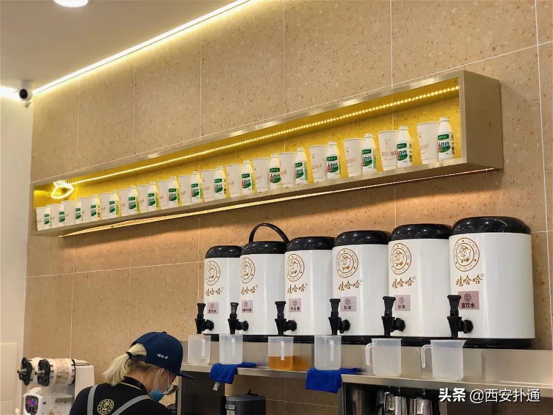 娃哈哈在西安开奶茶店,娃哈哈奶茶店西安