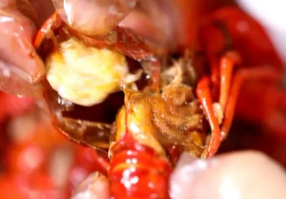 合肥龙虾馆配方大全,龙虾店的龙虾做法