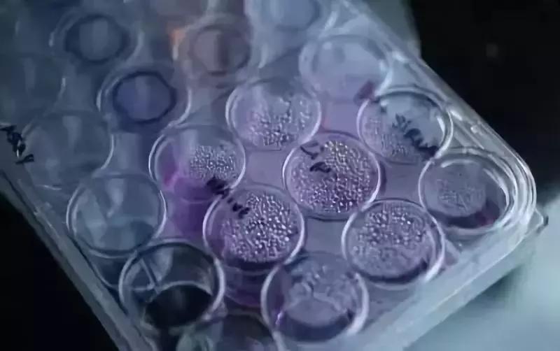 美国最新抗癌药什么时候上市,美国抗癌药最新上市新药