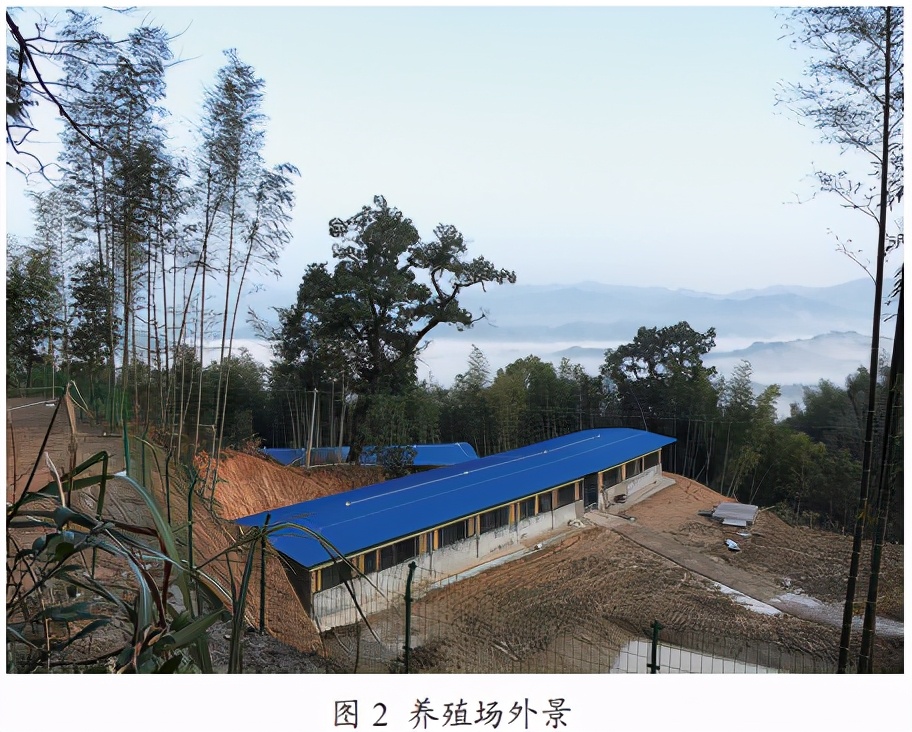 用优秀的公猪及精液产品为养殖者服务