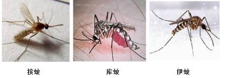 医专一附院感染性疾病科的张国范主任受邀做客《天天健康》栏目