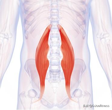 为什么骑完动感单车恶心想吐,踩完动感单车后腰痛
