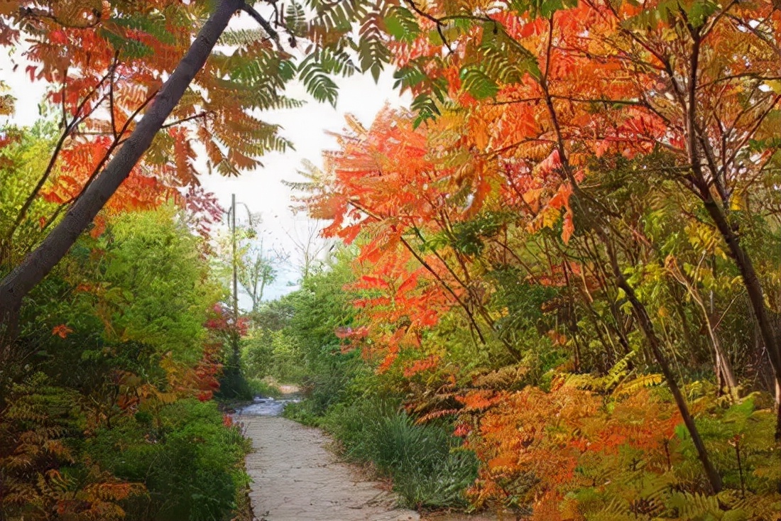 这个季节天津哪里好玩,天津这个季节去哪里玩