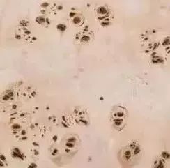 家具知识知多少,知识科普家具