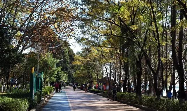 穷游昆明自由行攻略,昆明旅游攻略穷游推荐