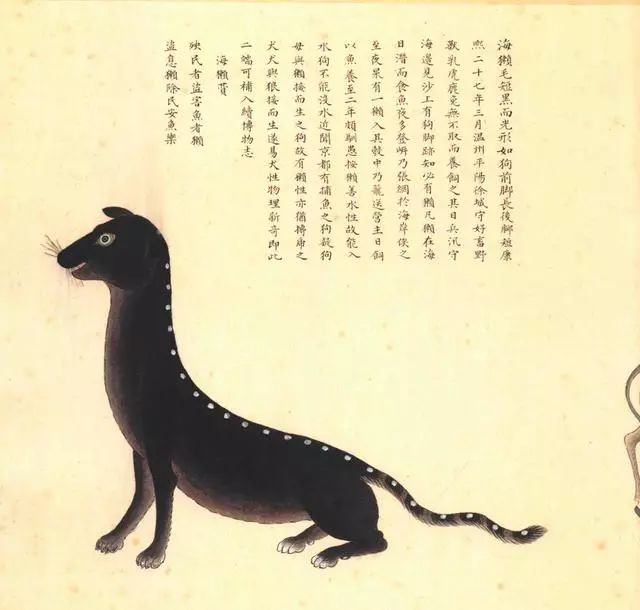 清代海错图有用吗,故宫海错图展