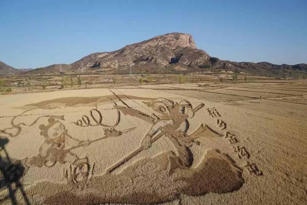 这一株白蜡，让山里人心里有了乘凉处