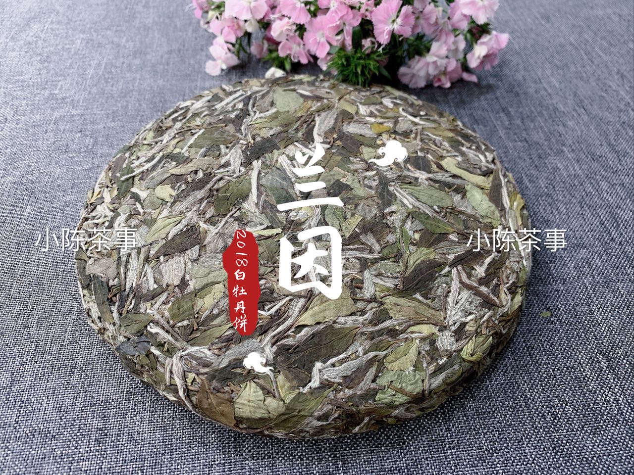 老白茶寿眉散茶好还是饼茶好喝,收藏白茶和收藏普洱的区别