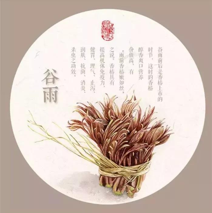 谷雨养生牢记健脾养肝的三个秘诀,春季养肝祛湿最佳方法图片