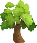 清明一杯浊酒遥寄思念,一杯杏花酒满盏思故人作者