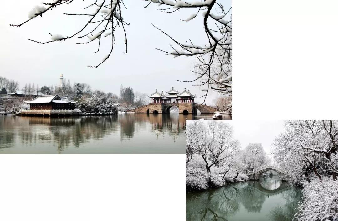 鑻忓窞鍥灄vs鏉窞瑗挎箹,鏉窞瑗挎箹vs鑻忓窞鍥灄