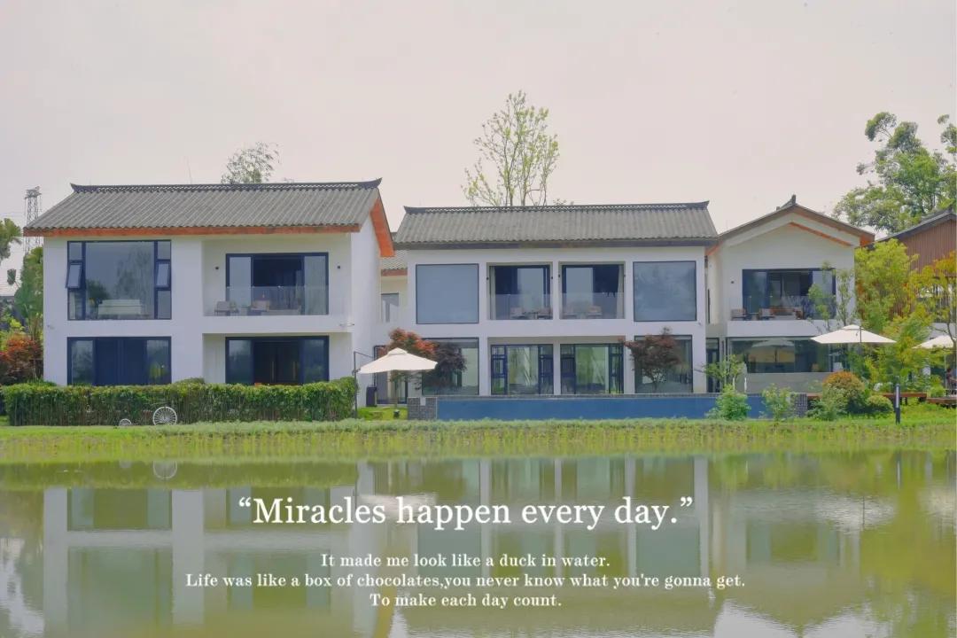 瑙呰叮灏忛晣褰窞,瑙呰叮灏忛晣宕囧窞