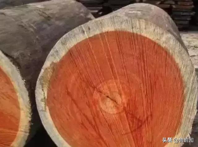 花梨木有哪几种木材,花梨木的十种鉴别方法