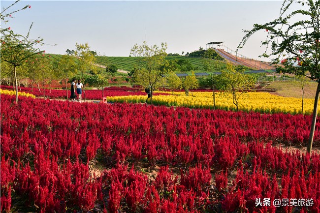 花都区美林湖度假区,花都美林湖风景